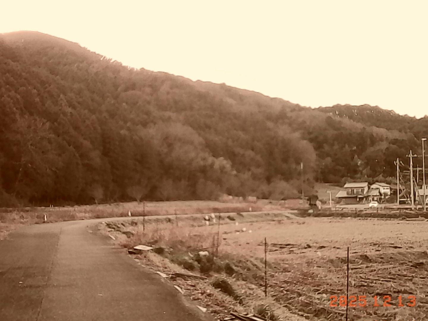 田畑の広がる景色